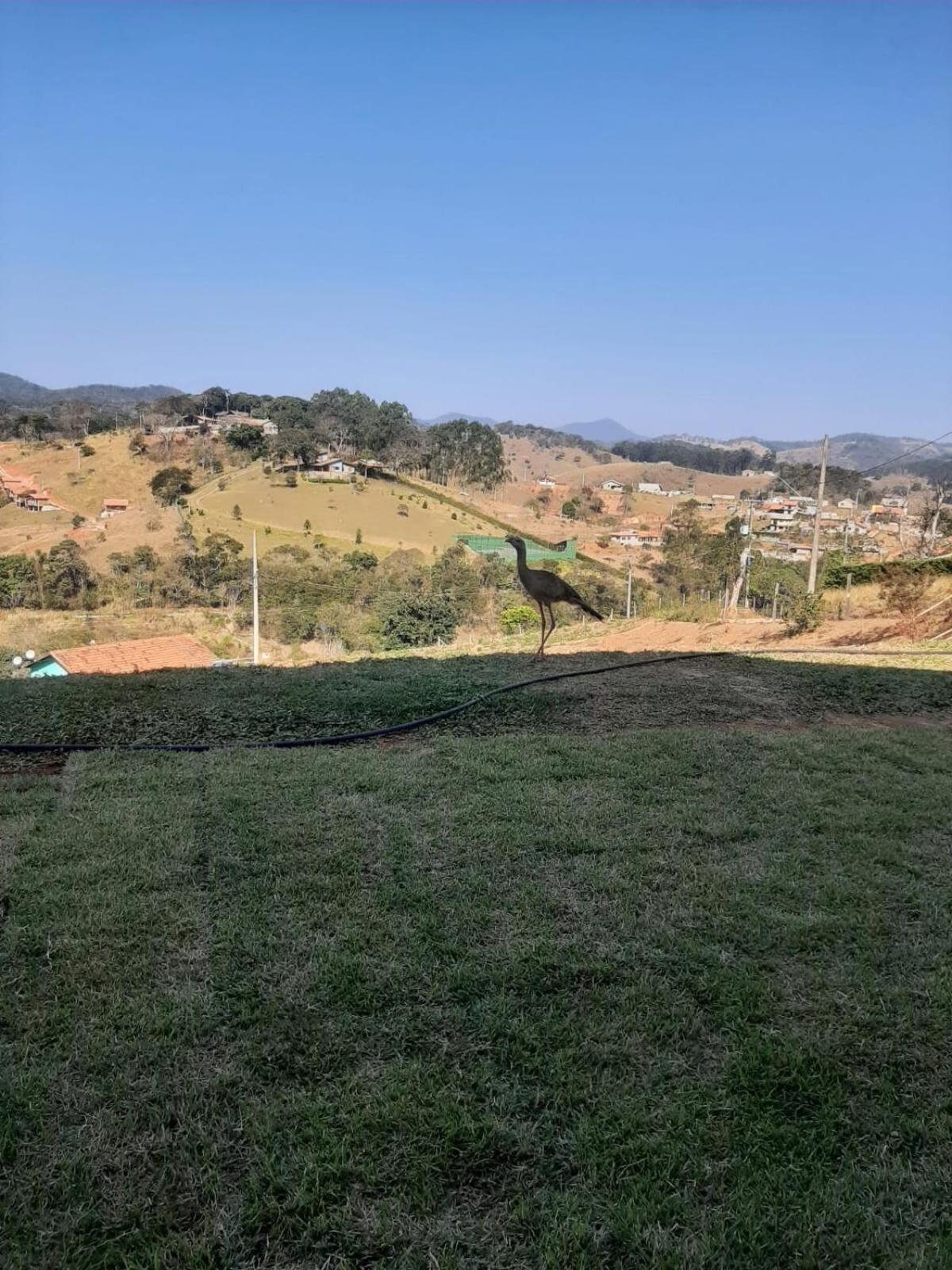 Recanto Alvorada - Casa De Campo Santo Antônio do Pinhal Εξωτερικό φωτογραφία